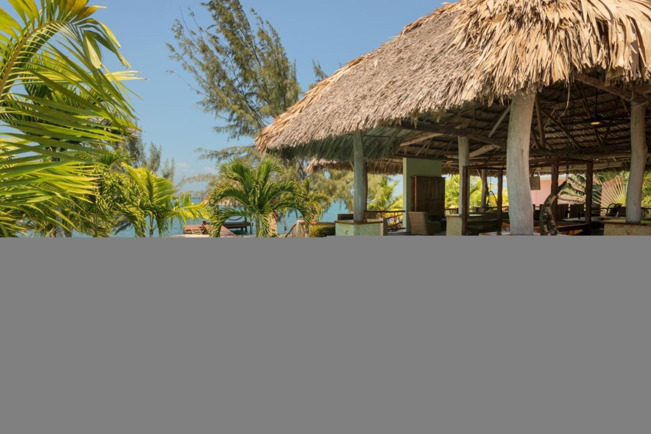 Little Harvest Caye - Your Own Private Island Placencia Exterior foto